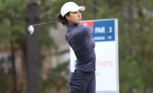 A golfer in a dark outfit and white cap finishes a swing on the golf course, wielding the Stealth 2 Driver. Trees and a sign indicating a Par 3 are visible in the background.